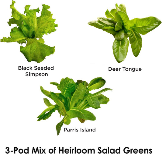 Heirloom Salad Greens Mix Seed Pod Kit