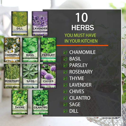 10 Herb Kit Non-GMO Growing into Thyme, Lavender, Chamomile, Dill, Chives, Cilantro, Rosemary, Basil, Parsley, Sage