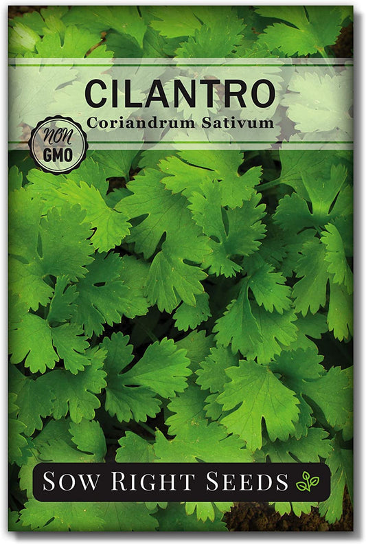 5 Herb Seed Collection - Genovese Basil, Chives, Cilantro, Italian Parsley, and Oregano
