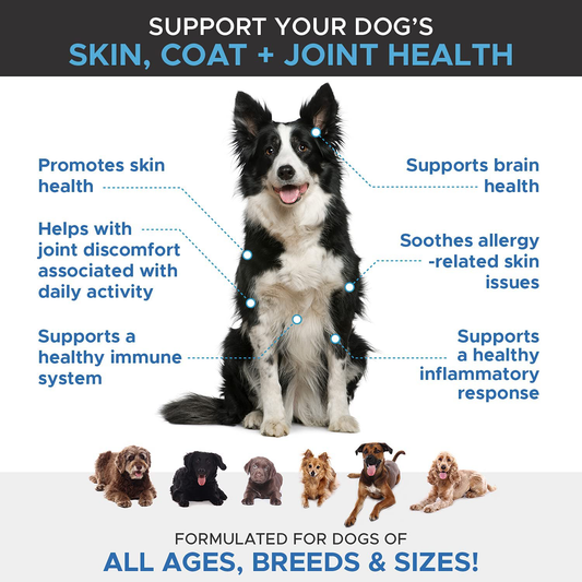 PetHonesty Omega SkinHealth Chews for Dogs - Omega 3 Fish Oil for Dogs - Kelp, Spirulina, Omega-3s, Alaskan for Healthy Skin & Coat, Helps Itchy Skin, Dog Allergies, Reduce Shedding - 90 Ct. (Salmon)