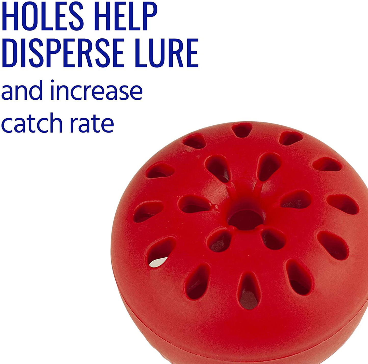 TERRO T2502 Fruit Fly Trap – 2 Pack
