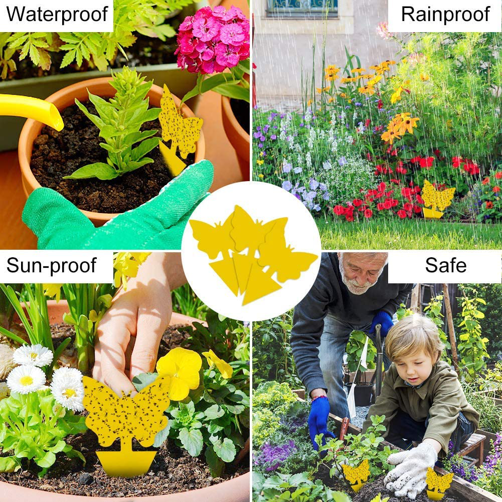 24 Pack Sticky Fruit Fly and Fungus Gnat Trap Yellow Sticky Bug Insect Killer for Indoor and Outdoor Houseplants