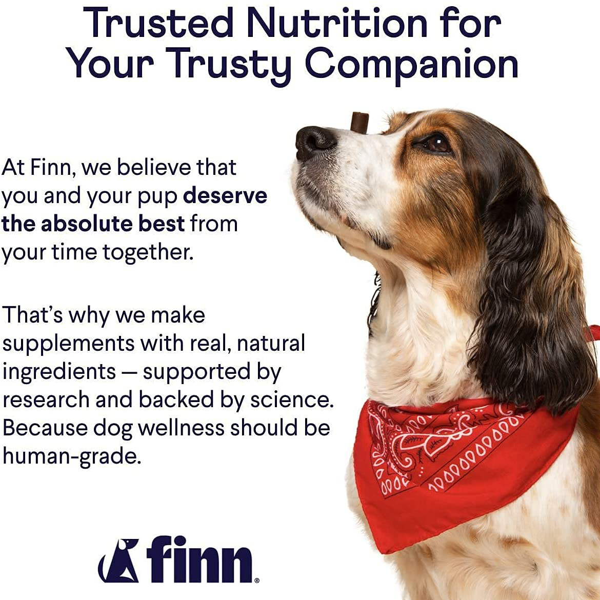 Finn All-in-1 Dog Multivitamin - Everyday Vitamin Supplement for Dogs with Probiotics, Omega-3s, Glucosamine + Chondroitin | Gut & Immune Health, Joint Support, Heart Health | 90 Soft Chew Treats