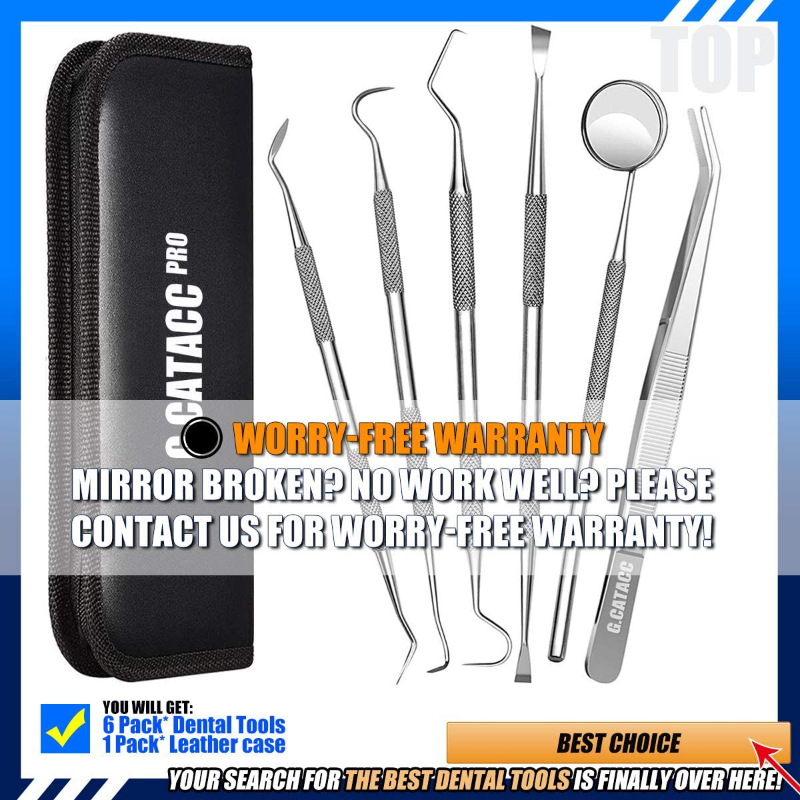 6 Piece Stainless Steel Professional Dental Hygiene Cleaning Kit With Portable Case