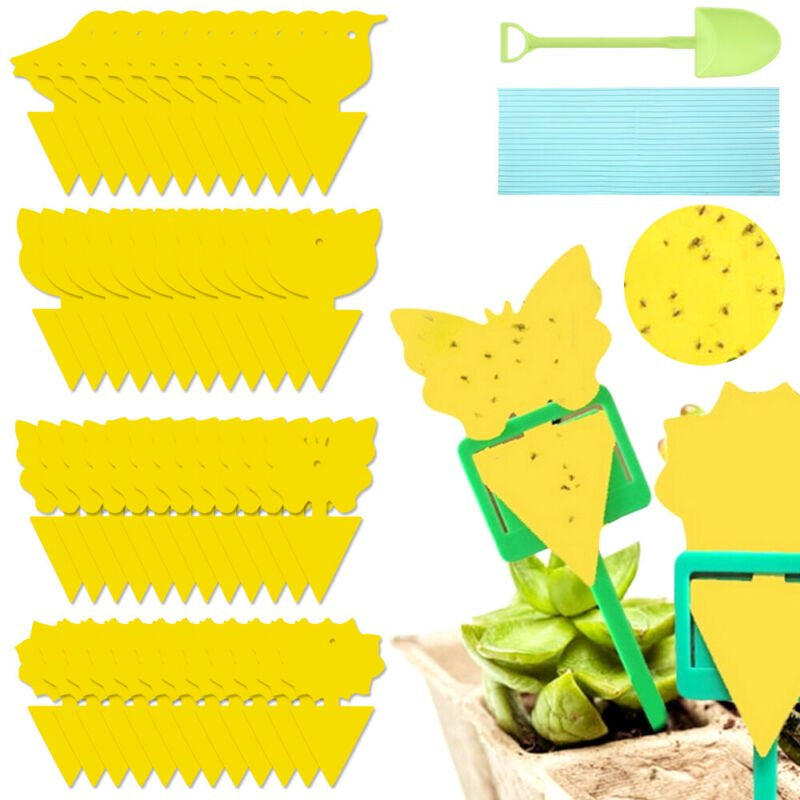 48 Pieces - Fruit Fly Sticky Traps, Fungus Gnat Traps - Indoor and Outdoor