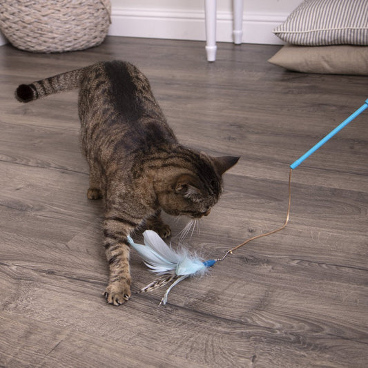 Interactive Cat Toy, Extendable and Retractable Wand with Feathers