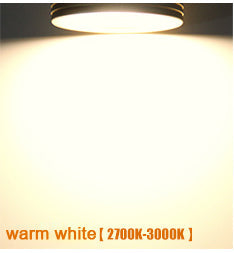 Surface Mounted LED Ceiling Lights Lamps