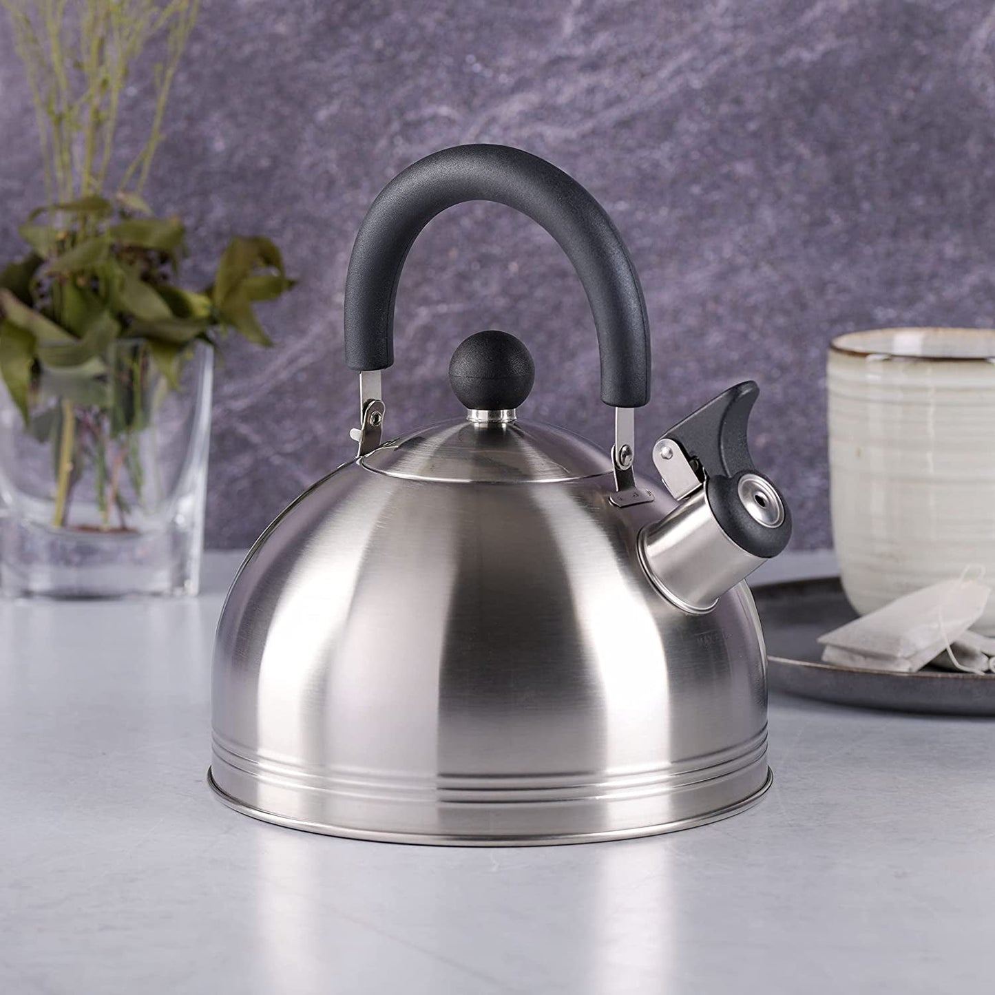 Mr. Coffee Stainless Steel Whistling Tea Kettle