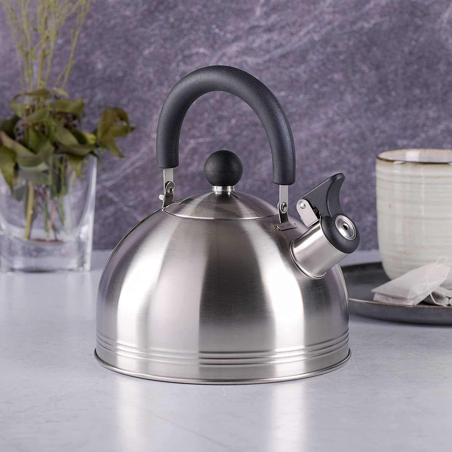 Mr. Coffee Stainless Steel Whistling Tea Kettle