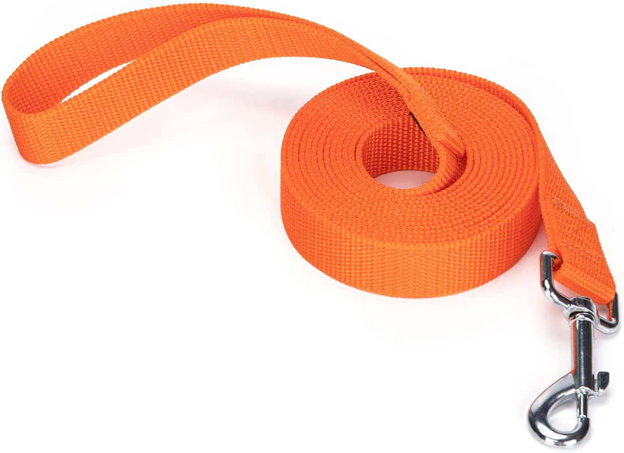 Strong Durable Nylon Dog Training Leash, Traction Rope, 10 Feet Long, 1 Inch Wide, for Small and Medium Dog 