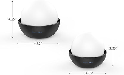 Set of 2 Ceramic Stone Humidifiers