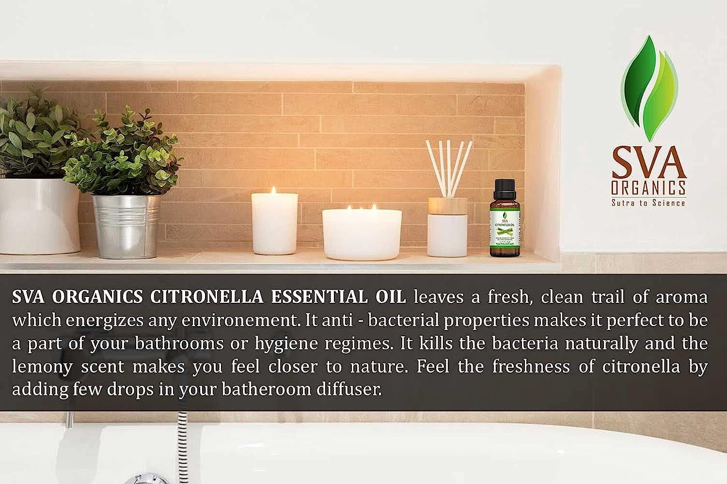 SVA Citronella Essential Oil - 1/3 Oz (10 ML) 100% Pure & Natural Therapeutic Grade Oil for Skin, Body, Diffuser, Candle Making
