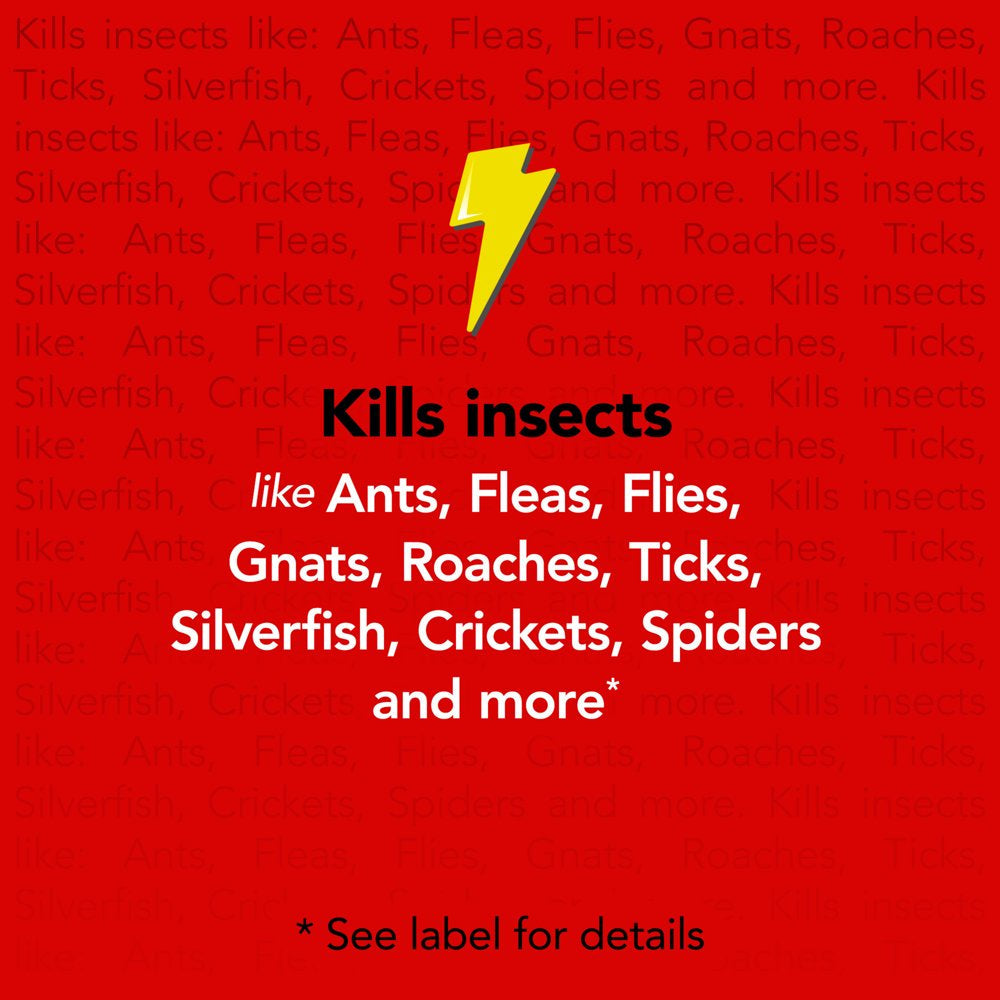 Raid® Max Perimeter Protection, Multi Insect Killer Spray, Lasts up to 18 Months*, 30 Fl Oz
