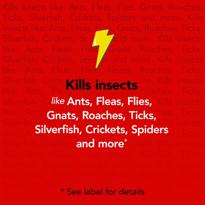 Raid® Max Perimeter Protection, Multi Insect Killer Spray, Lasts up to 18 Months*, 30 Fl Oz