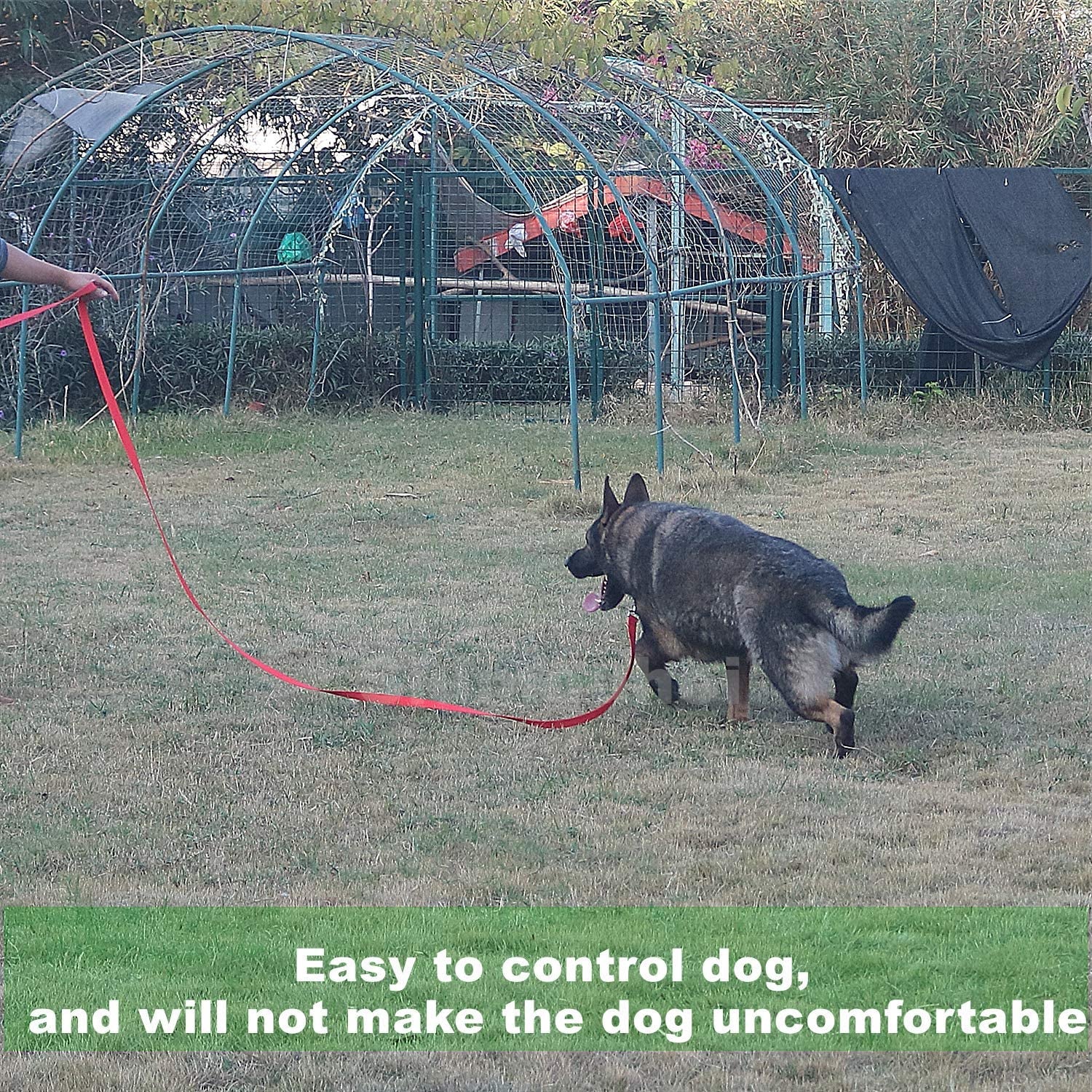 Strong Durable Nylon Dog Training Leash, Traction Rope, 10 Feet Long, 1 Inch Wide, for Small and Medium Dog 