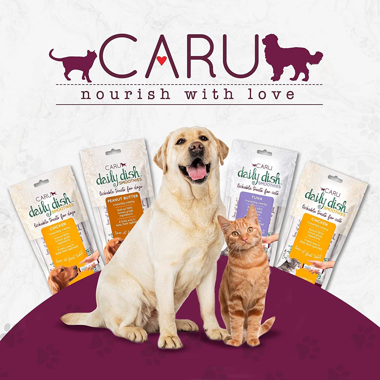 Caru - Daily Dish Smoothies - Lickable Chicken Dog Treat - 4 Pack.5oz Tubes