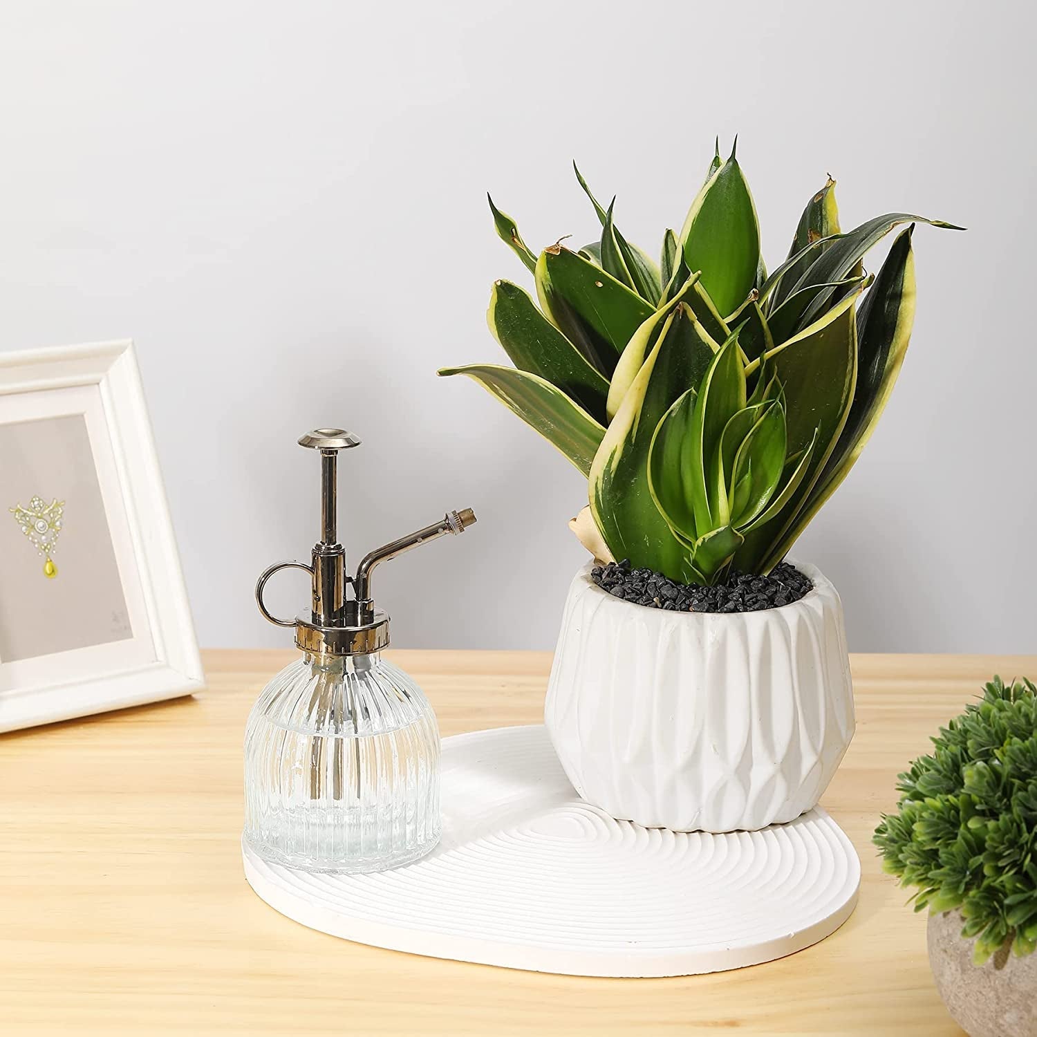 Glass Plant Mister Spray Bottle, 6.5" Tall Vintage Glass Watering Spray Bottle with Top Pump, Small Watering Can Indoor for Succulents - Clear