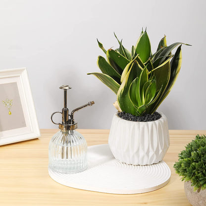 Glass Plant Mister Spray Bottle, 6.5" Tall Vintage Glass Watering Spray Bottle with Top Pump, Small Watering Can Indoor for Succulents - Clear