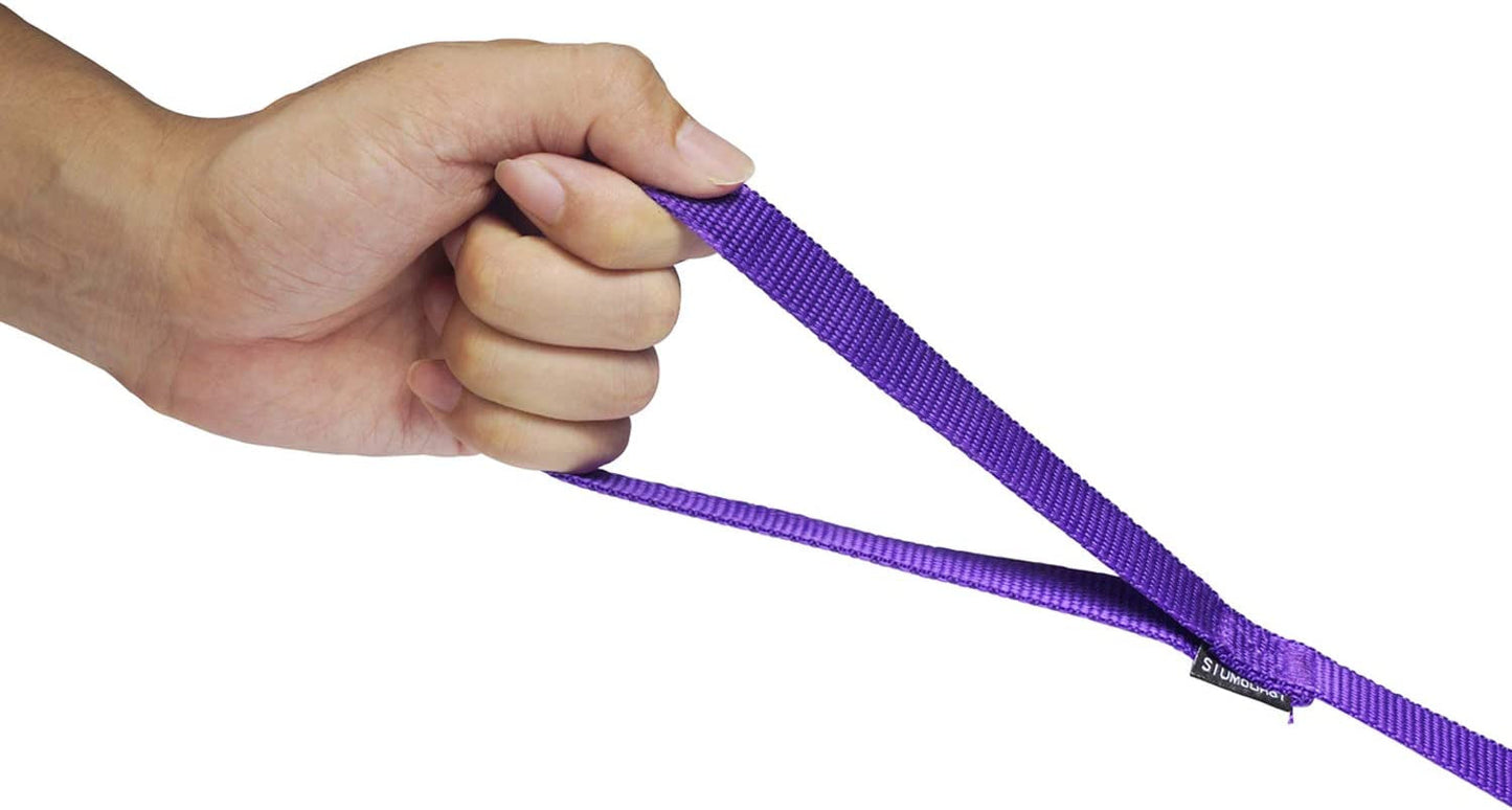 Strong Durable Nylon Dog Training Leash, Traction Rope, 10 Feet Long, 1 Inch Wide, for Small and Medium Dog 