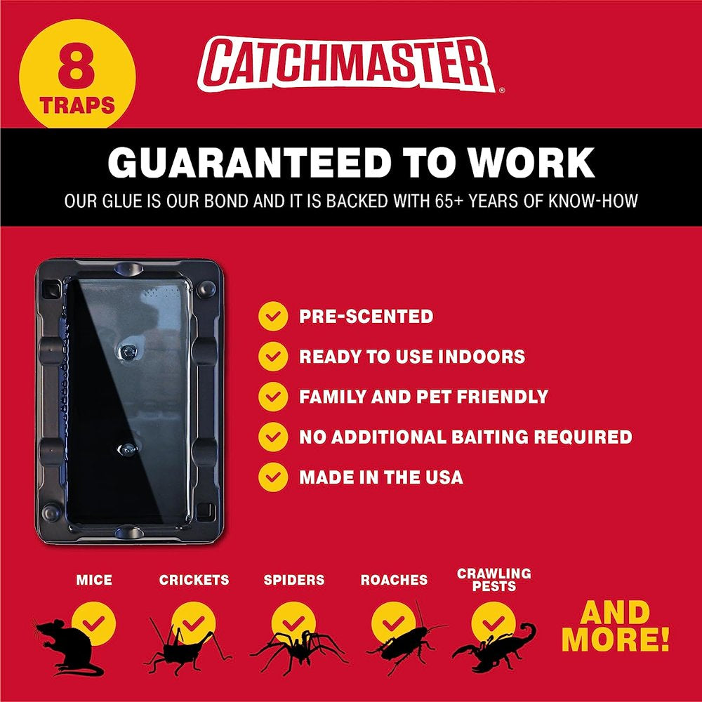  Mouse and Insect Glue Traps (8 Traps) Indoors Ready - Non-Toxic