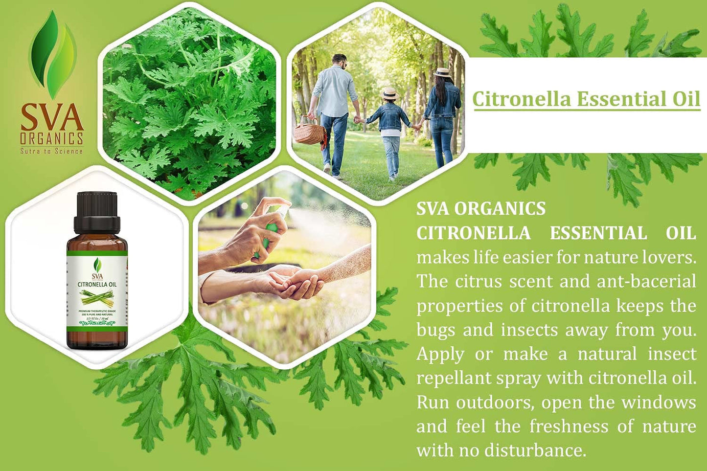 SVA Citronella Essential Oil - 1/3 Oz (10 ML) 100% Pure & Natural Therapeutic Grade Oil for Skin, Body, Diffuser, Candle Making