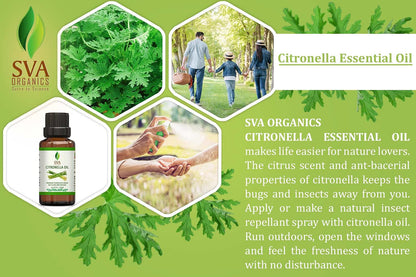 SVA Citronella Essential Oil - 1/3 Oz (10 ML) 100% Pure & Natural Therapeutic Grade Oil for Skin, Body, Diffuser, Candle Making