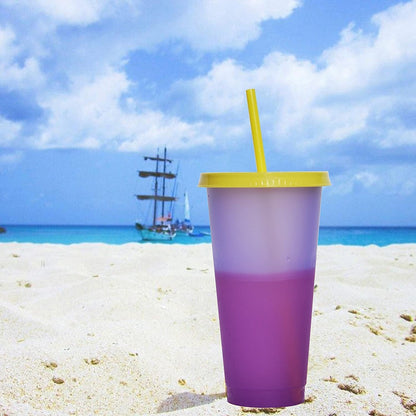 5pcs 24oz Color Changing cups 