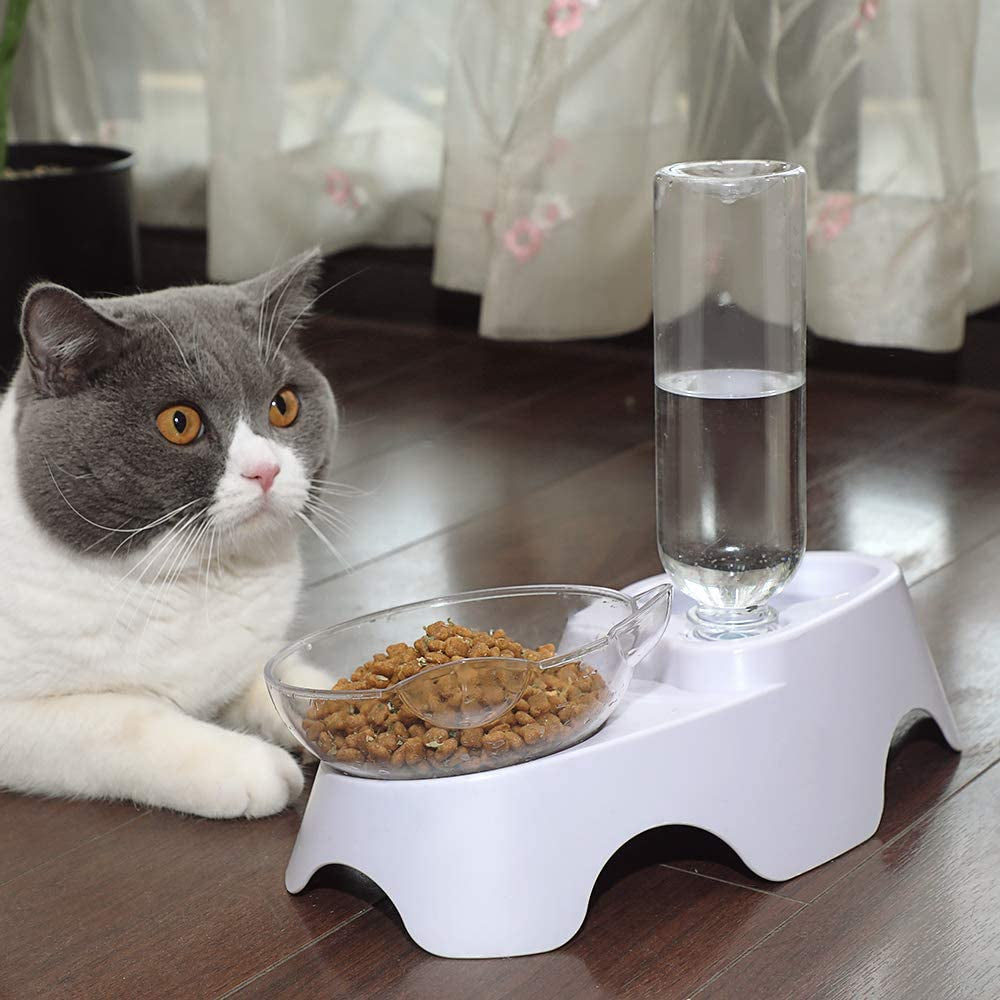 Double Dog Cat Bowls Pets Water and Food Bowl Set