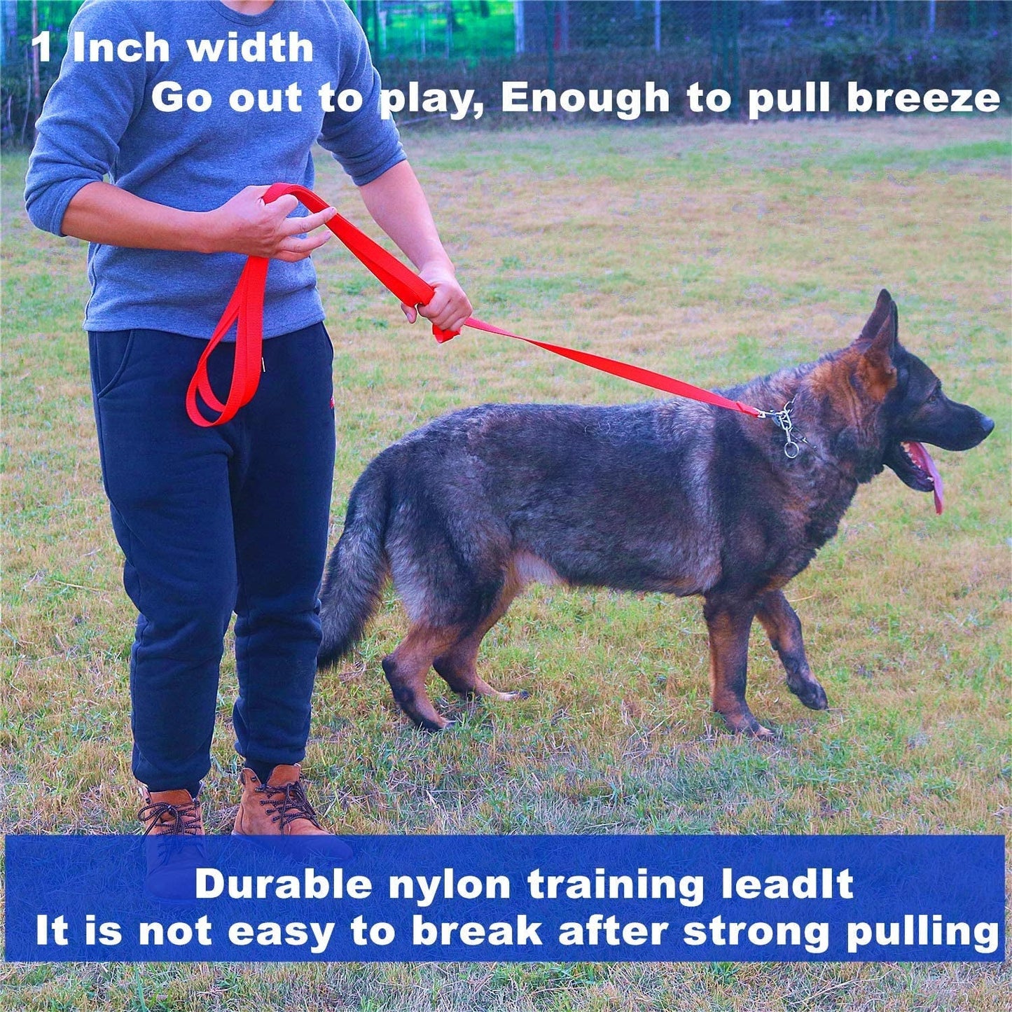 Strong Durable Nylon Dog Training Leash, Traction Rope, 10 Feet Long, 1 Inch Wide, for Small and Medium Dog 