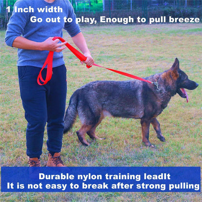Strong Durable Nylon Dog Training Leash, Traction Rope, 10 Feet Long, 1 Inch Wide, for Small and Medium Dog 