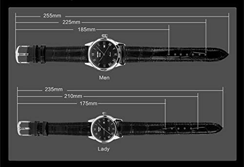 CakCity Men's Business Analogou Casual Watches Quartz Waterproof Wrist Watch with Golden Dial Brown Leather Band