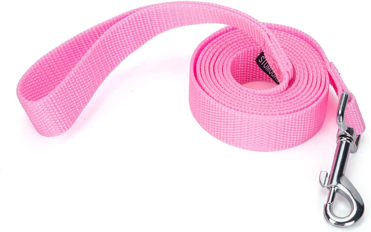 Strong Durable Nylon Dog Training Leash, Traction Rope, 10 Feet Long, 1 Inch Wide, for Small and Medium Dog 
