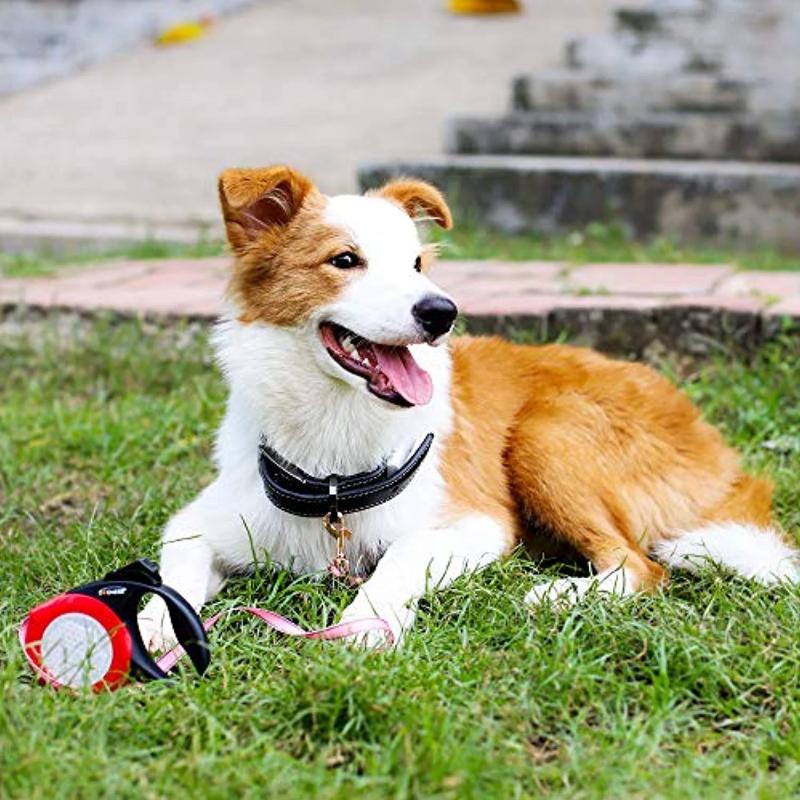 Reflective - Retractable - One Button - Anti-Slip Handle Dog Leash