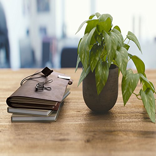 Refillable Leather Traveler's Journal Kit