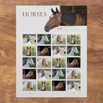 Horses 2024 USPS First-Class Mail Forever Postage Stamps - Sheet of 20