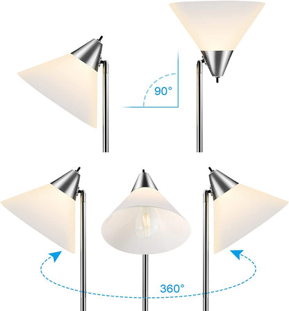 Floor Lamp With Adjustable Head And Arcylic Shade 