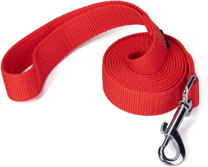 Strong Durable Nylon Dog Training Leash, Traction Rope, 10 Feet Long, 1 Inch Wide, for Small and Medium Dog 