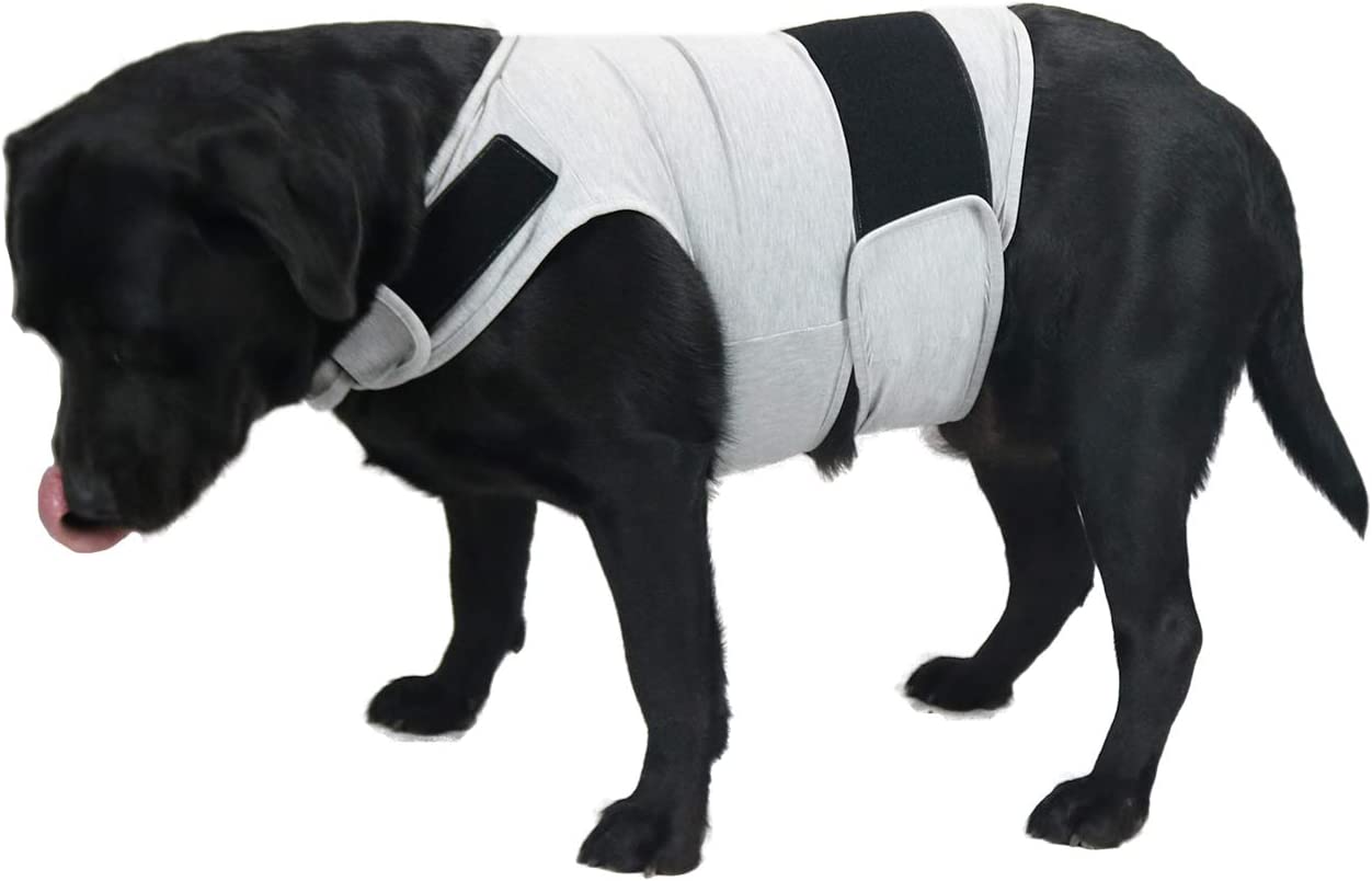  Comfort Dog Anxiety Relief Coat, Dog Anxiety Calming Vest Wrap for Thunderstorm,Travel,4th of July Fireworks,Vet Visits,Separation Anxiety Relief for Dogs (X-Small (Pack of 1), Rose)