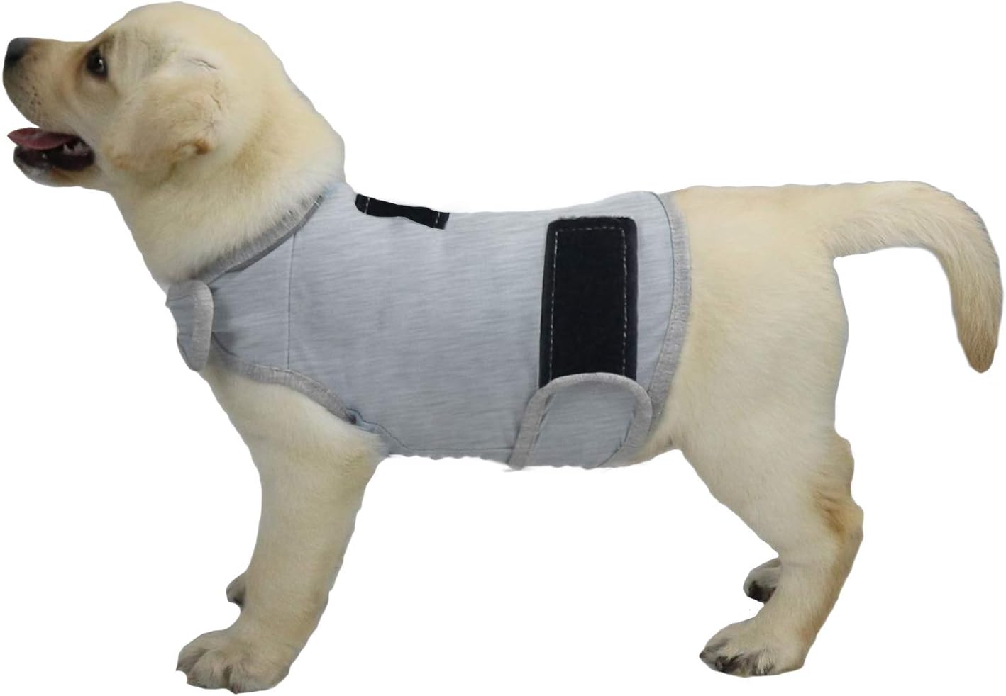  Comfort Dog Anxiety Relief Coat, Dog Anxiety Calming Vest Wrap for Thunderstorm,Travel,4th of July Fireworks,Vet Visits,Separation Anxiety Relief for Dogs (X-Small (Pack of 1), Rose)