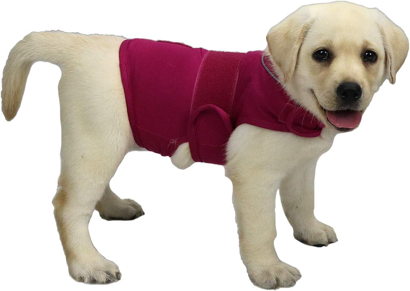  Comfort Dog Anxiety Relief Coat, Dog Anxiety Calming Vest Wrap for Thunderstorm,Travel,4th of July Fireworks,Vet Visits,Separation Anxiety Relief for Dogs (X-Small (Pack of 1), Rose)