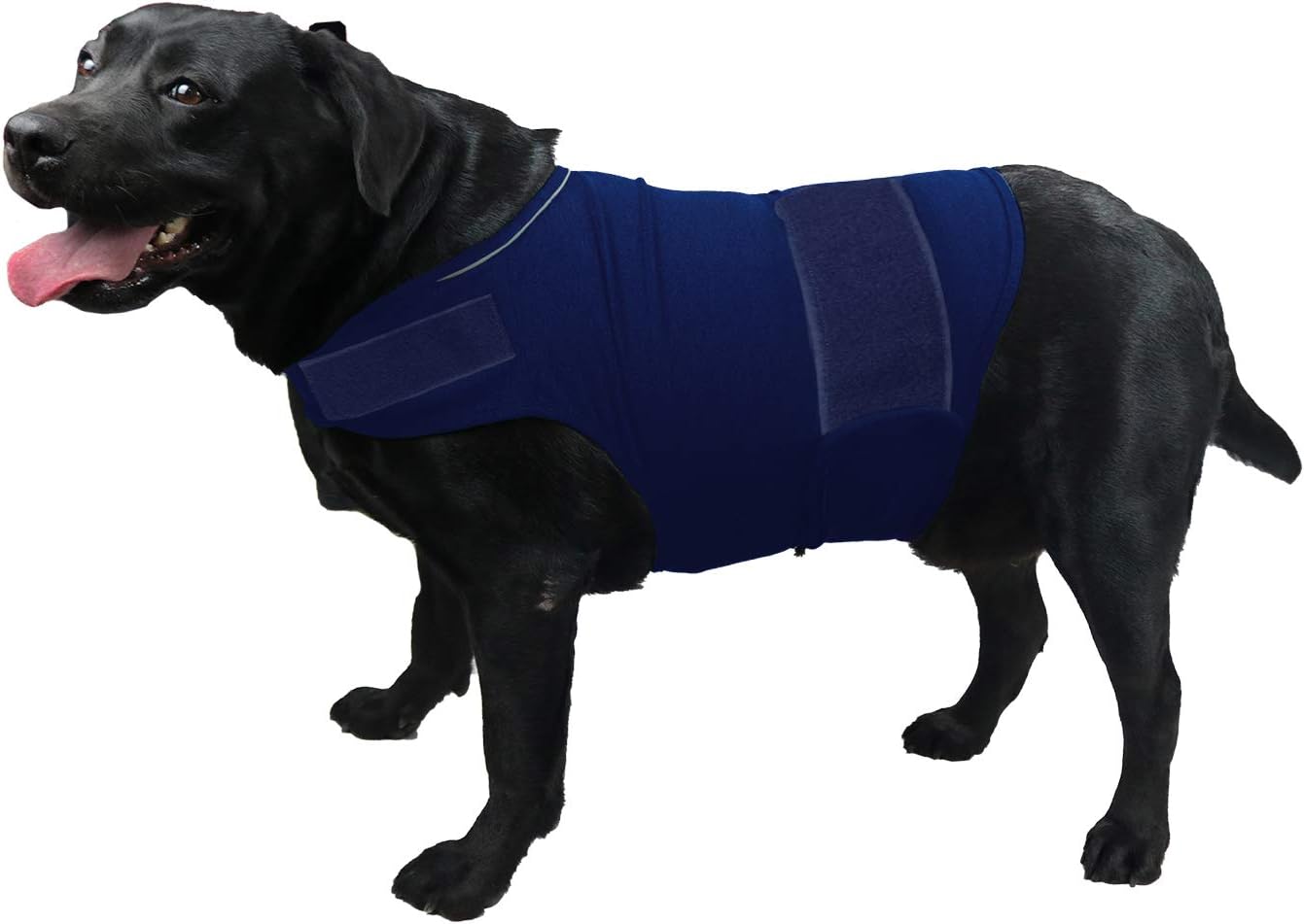  Comfort Dog Anxiety Relief Coat, Dog Anxiety Calming Vest Wrap for Thunderstorm,Travel,4th of July Fireworks,Vet Visits,Separation Anxiety Relief for Dogs (X-Small (Pack of 1), Rose)