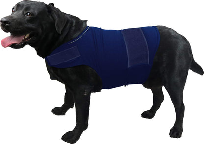  Comfort Dog Anxiety Relief Coat, Dog Anxiety Calming Vest Wrap for Thunderstorm,Travel,4th of July Fireworks,Vet Visits,Separation Anxiety Relief for Dogs (X-Small (Pack of 1), Rose)