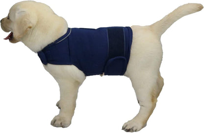  Comfort Dog Anxiety Relief Coat, Dog Anxiety Calming Vest Wrap for Thunderstorm,Travel,4th of July Fireworks,Vet Visits,Separation Anxiety Relief for Dogs (X-Small (Pack of 1), Rose)