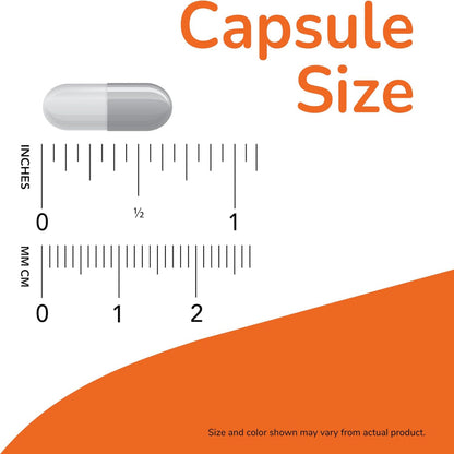 60-Capsule Melatonin Supplement – 3 mg Sleep Support Capsules – Helps Maintain Healthy Sleep Cycle & Free Radical Defense