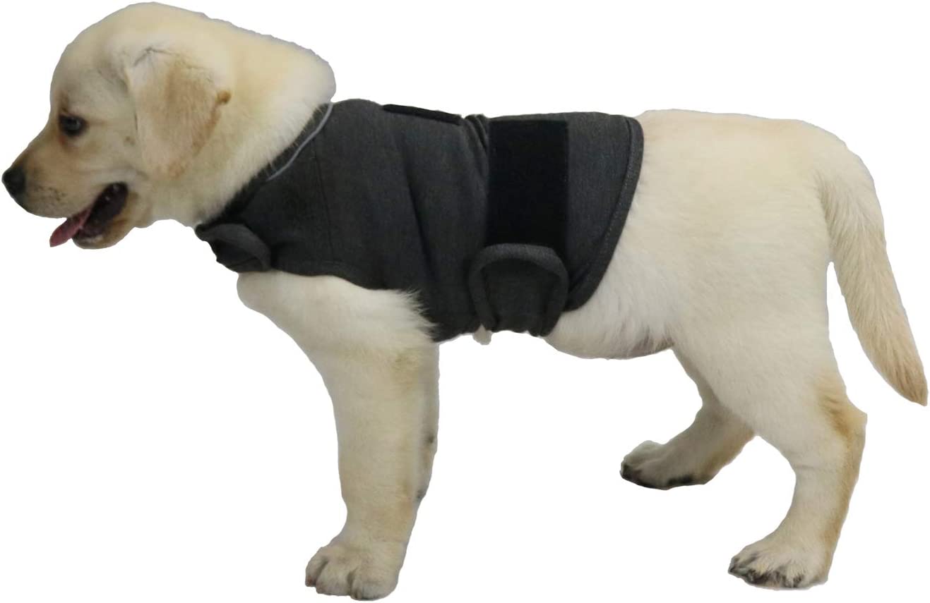  Comfort Dog Anxiety Relief Coat, Dog Anxiety Calming Vest Wrap for Thunderstorm,Travel,4th of July Fireworks,Vet Visits,Separation Anxiety Relief for Dogs (X-Small (Pack of 1), Rose)