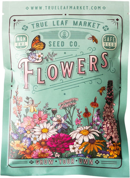 Sunflower Seeds - Chocolate Cherry - 1 Oz ~1700 Seeds 