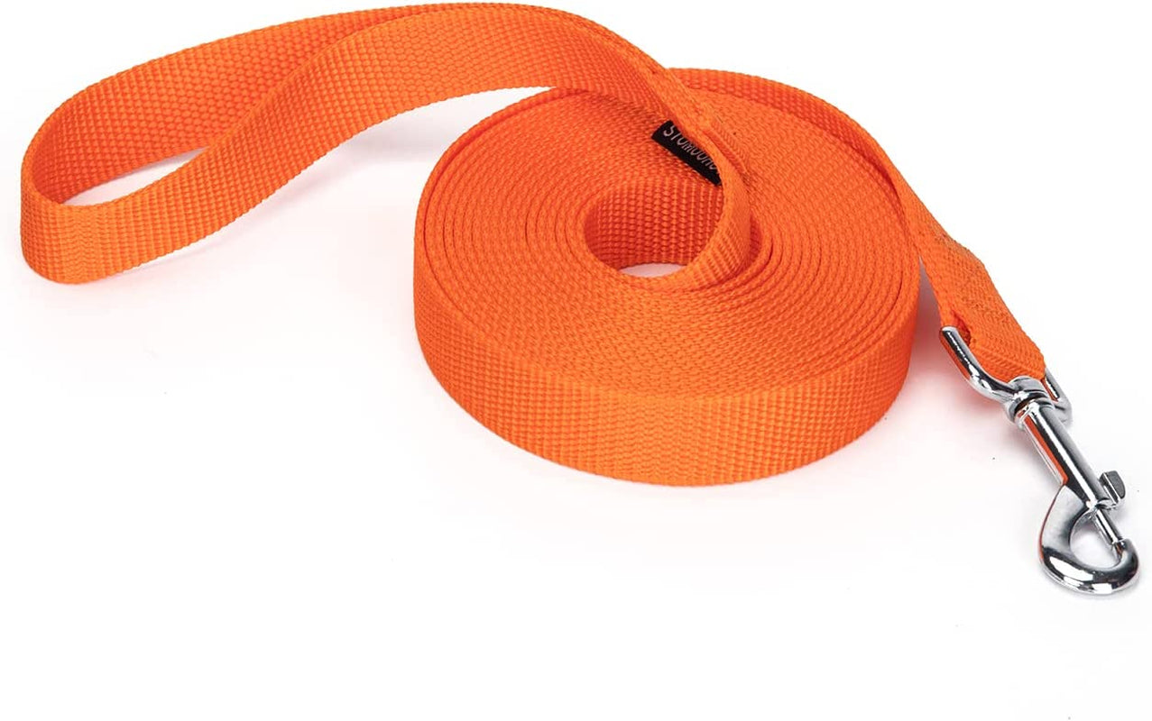 Strong Durable Nylon Dog Training Leash, Traction Rope, 10 Feet Long, 1 Inch Wide, for Small and Medium Dog 