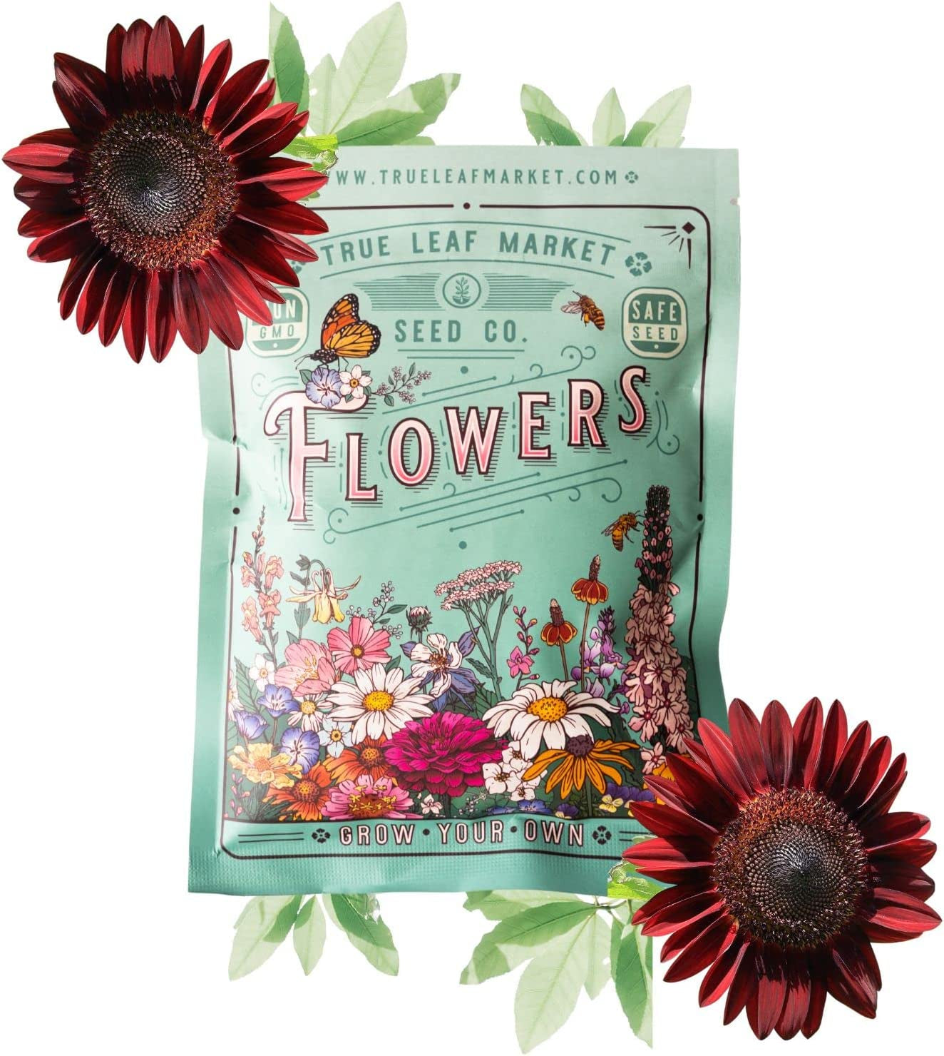 Sunflower Seeds - Chocolate Cherry - 1 Oz ~1700 Seeds 