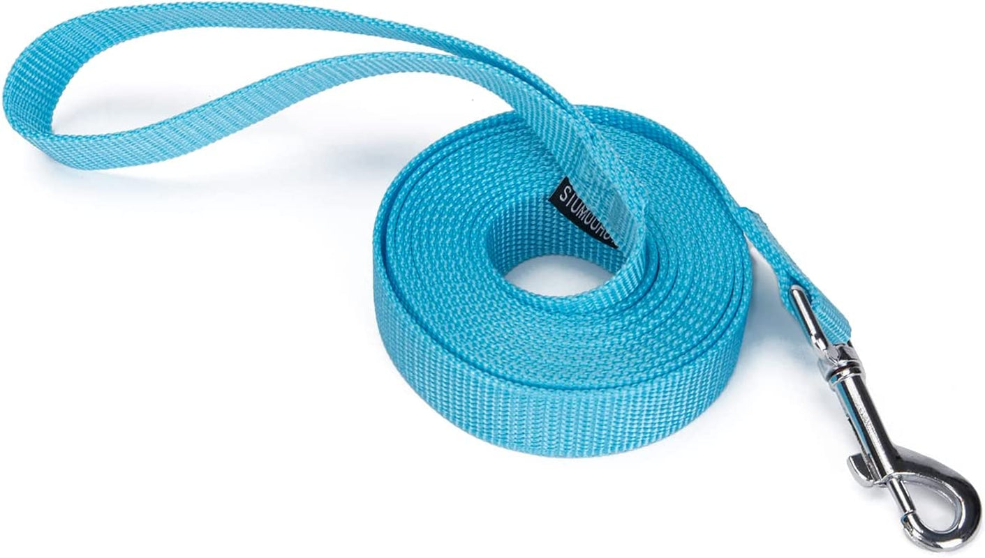 Strong Durable Nylon Dog Training Leash, Traction Rope, 10 Feet Long, 1 Inch Wide, for Small and Medium Dog 