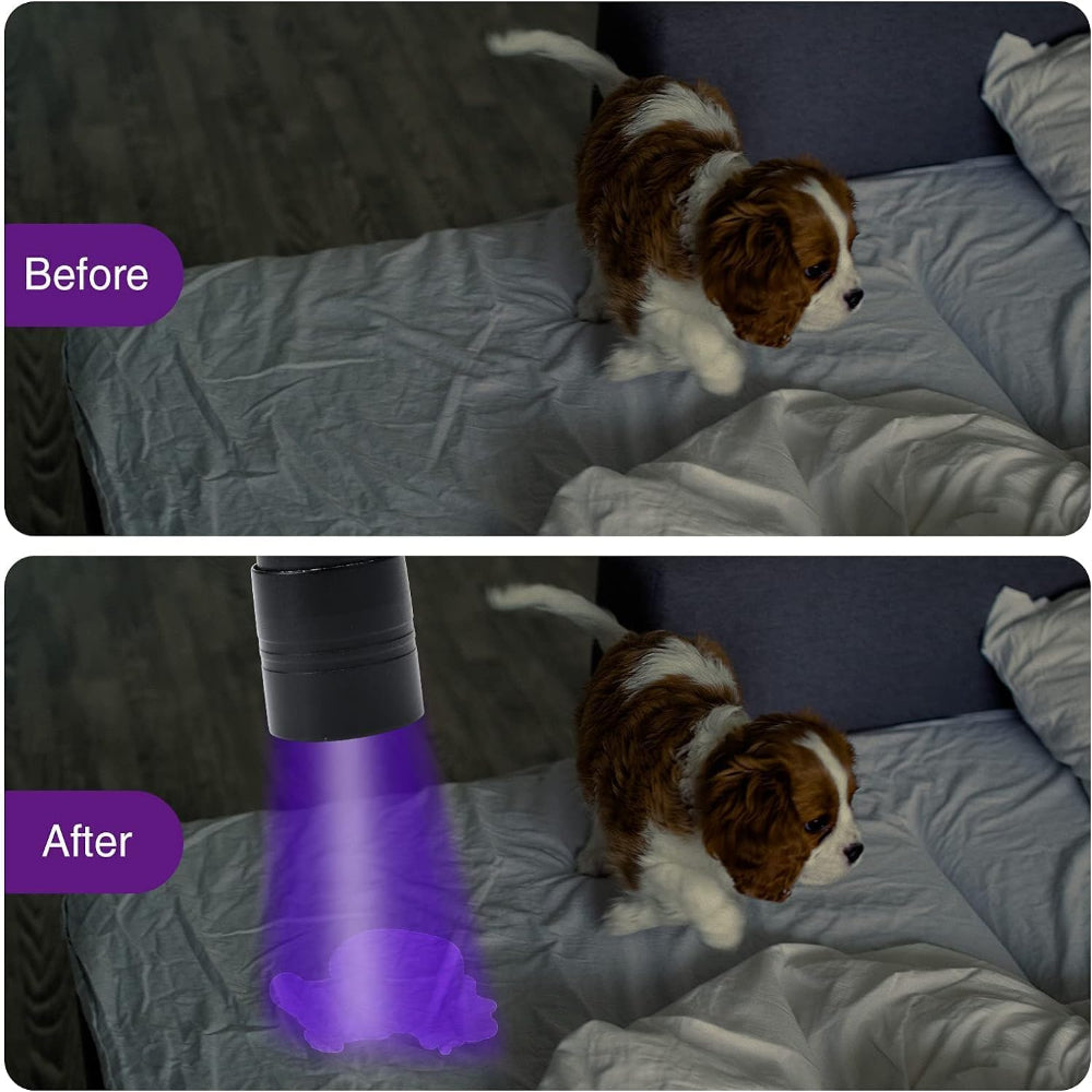 4-Pack UV Blacklight Flashlights – 395nm LED Detection Use – Pet Urine, Bed Bugs & Stain Finder – Mini Portable Handheld Design